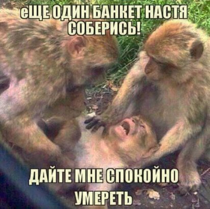 Скачать песню не дай мне сорваться
